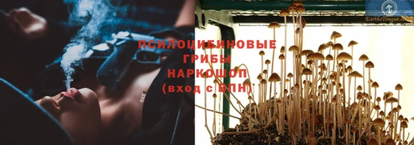 соль ск Протвино