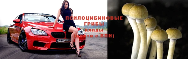 соль ск Протвино