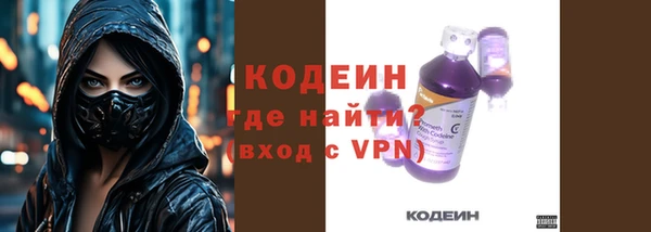шишки Покачи