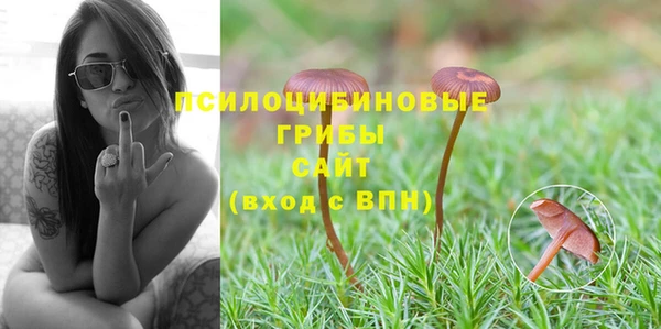 соль ск Протвино