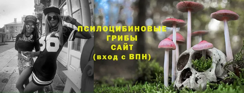 ссылка на мегу ссылки  Балашов  Псилоцибиновые грибы Cubensis  купить наркоту 