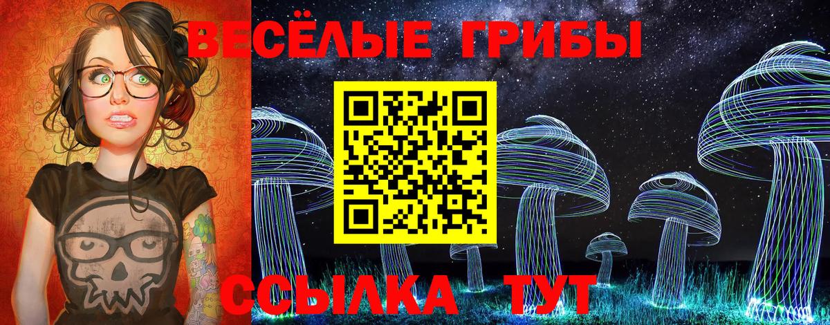 Галлюциногенные грибы Cubensis  Вход с VPN  Балашов  Галлюциногенные грибы прущие грибы 