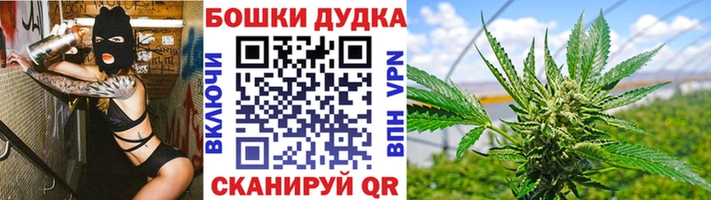 Конопля гибрид  сколько стоит  Балашов 